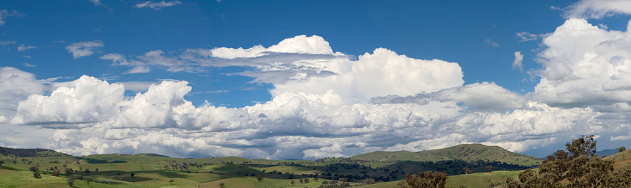 1004px-Cumulus_clouds_panorama