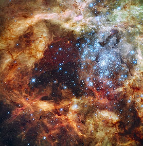 Grand_star-forming_region_R136_in_NGC_2070_(captured_by_the_Hubble_Space_Telescope)